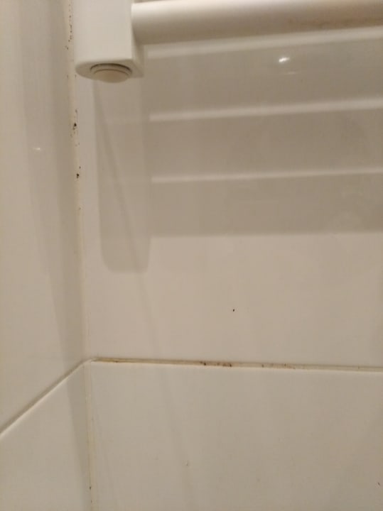 Fugen im Bad mit Schimmel... AKTIVHOTEL Weisser Hirsch