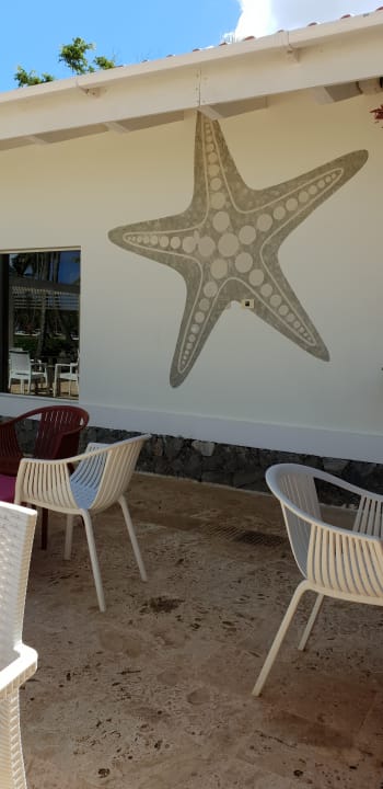 Gastro Wyndham Alltra Samana