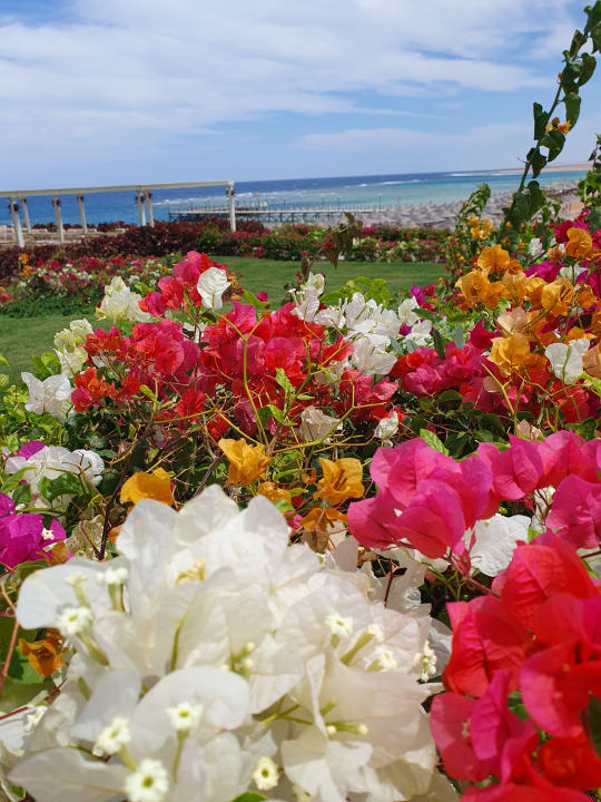 Gartenanlage Fantazia Resort Marsa Alam