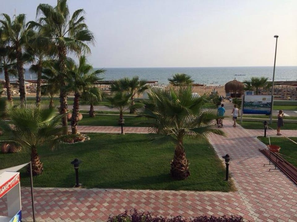 On the way to the beach  Kamelya Aishen Club