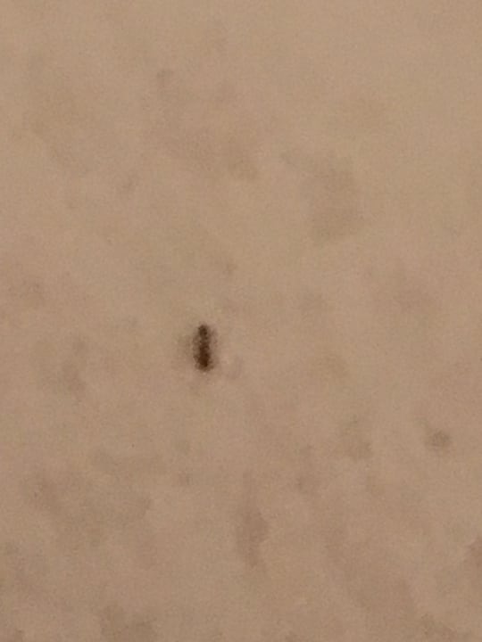 Zimmer Riviera Spa Resort - Adults Only