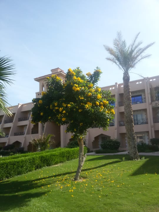 Gartenanlage Jasmine Palace Resort & Spa