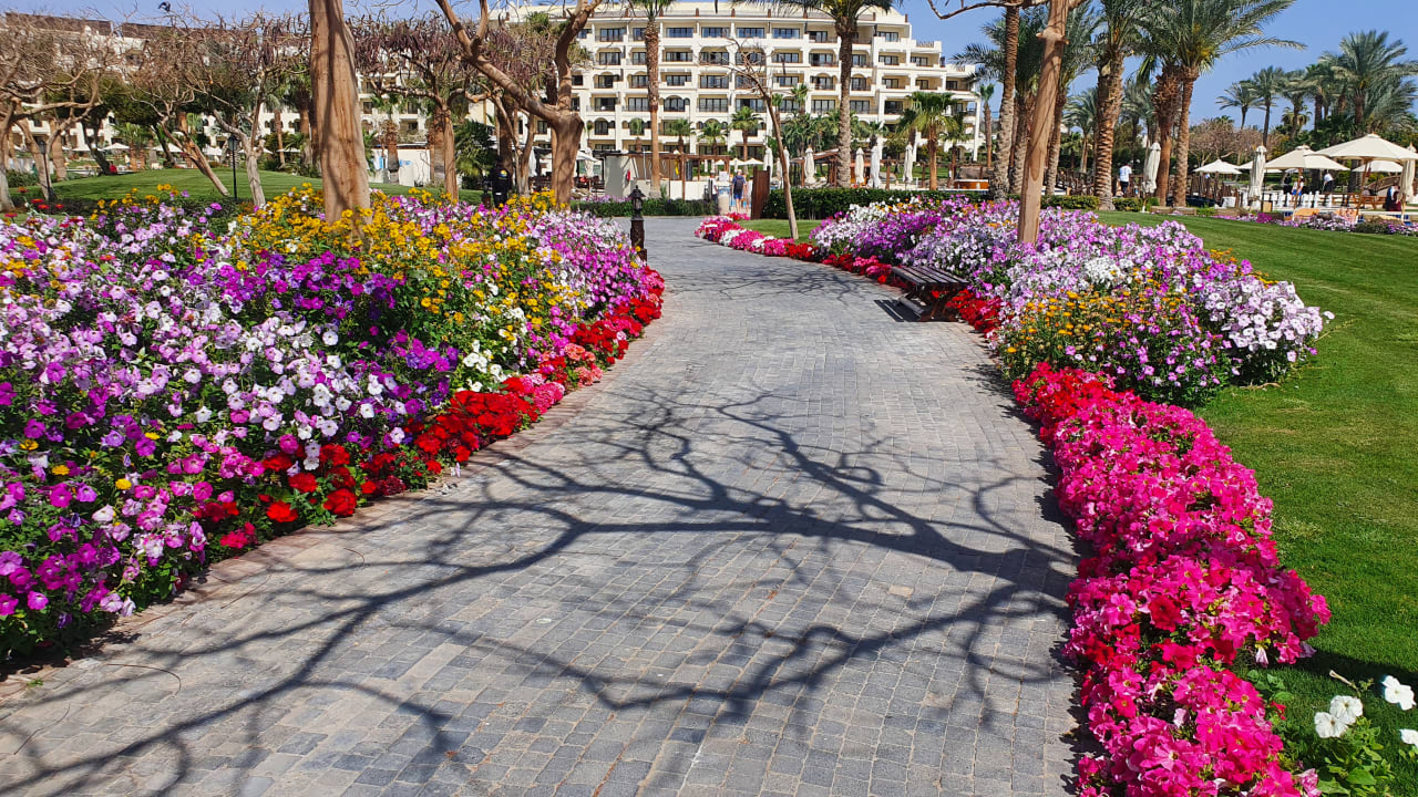 Gartenanlage Steigenberger ALDAU Beach Hotel