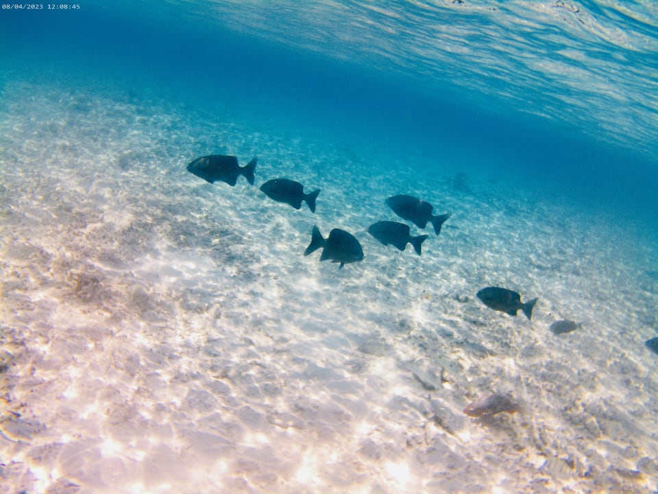 Strand Thulhagiri Island Resort