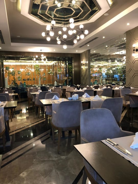 Gastro Side Star Elegance