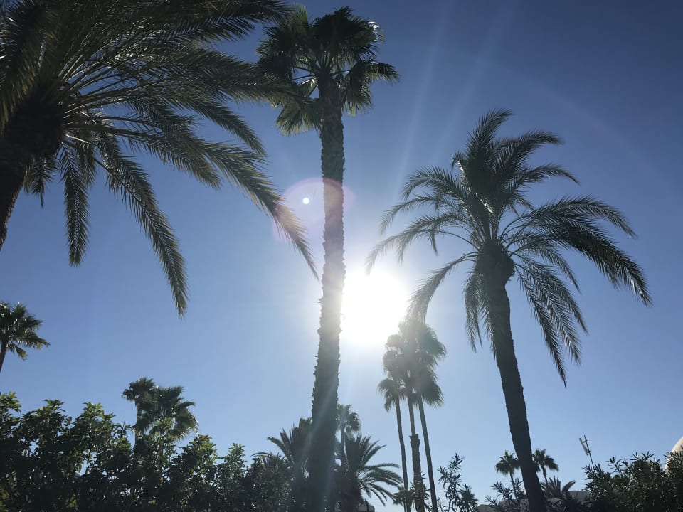 Ausblick Abora Buenaventura by Lopesan Hotels