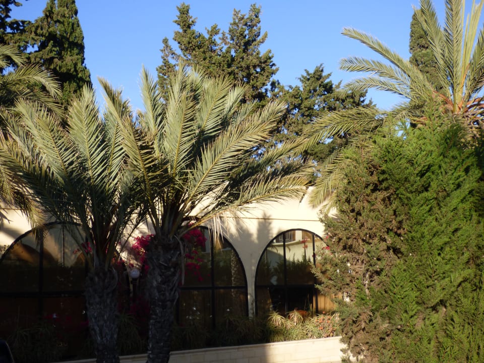Sonstiges Hotel Paradis Palace