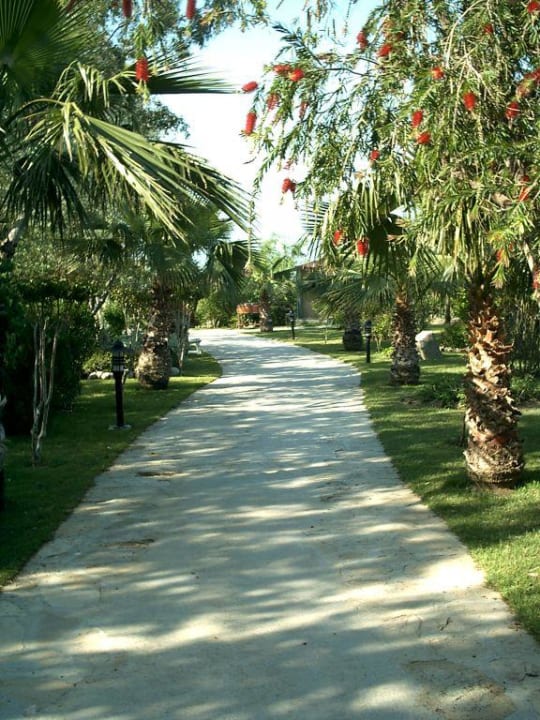 Gartenanlage Alba Resort Hotel