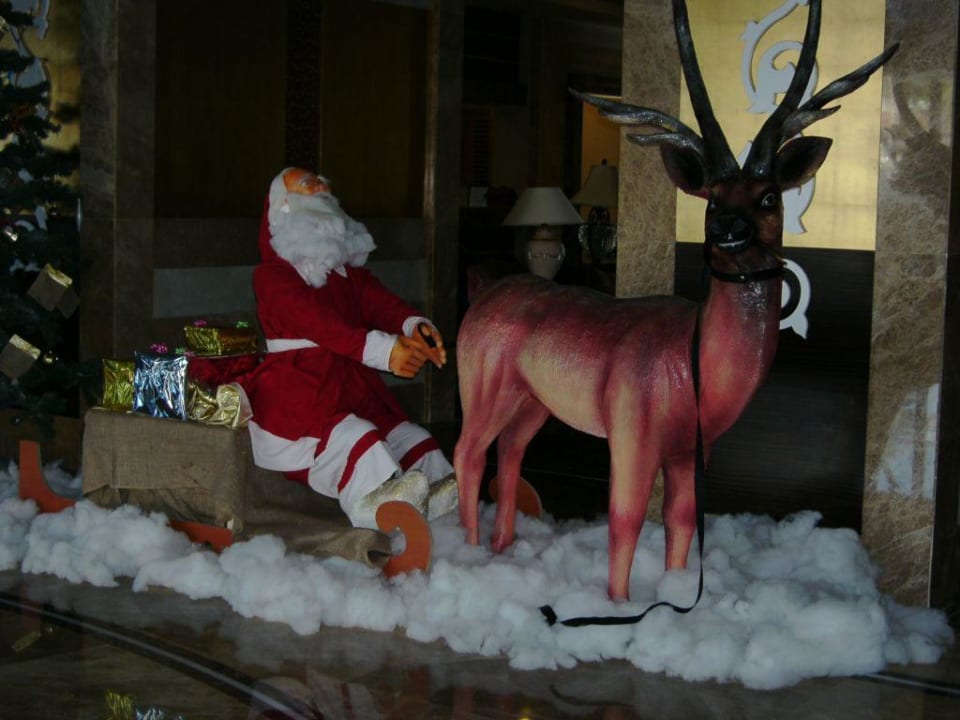 Der konnte sich auch mal bewegen...hohoho Hotel Terrace Beach Resort