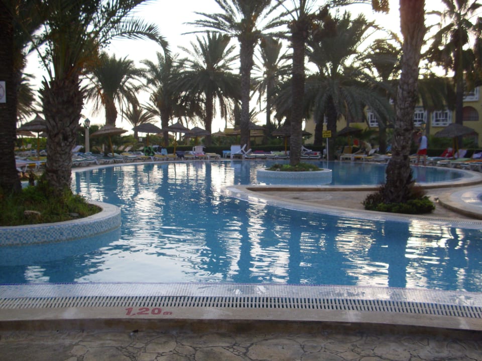 Poolbereich mit Palmeninsel Houda Golf & Beach Club