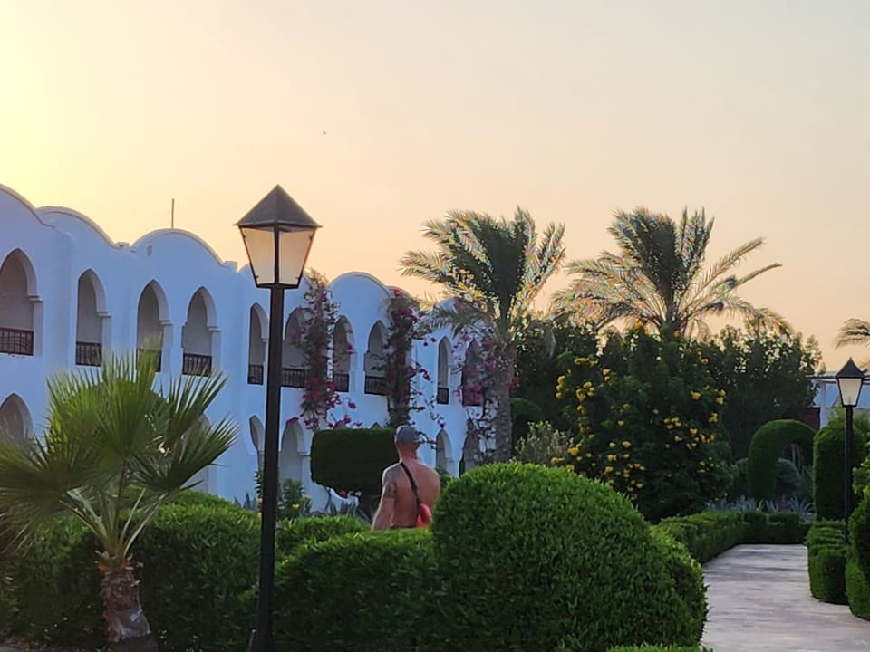 Außenansicht Hotel Gorgonia Beach Resort