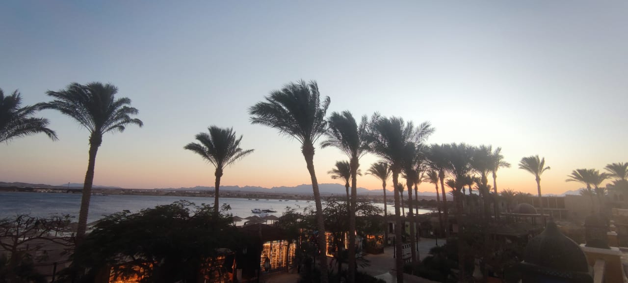 Gartenanlage Grand Waterworld Makadi & Family Star Makadi