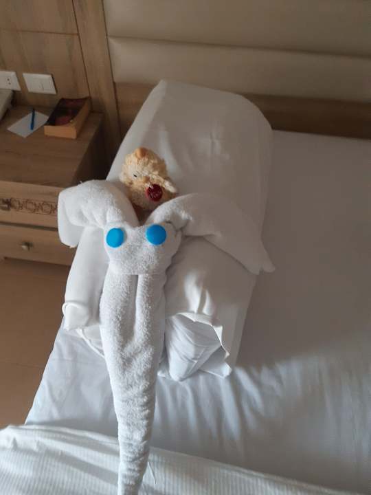 Zimmer Beach Albatros Resort