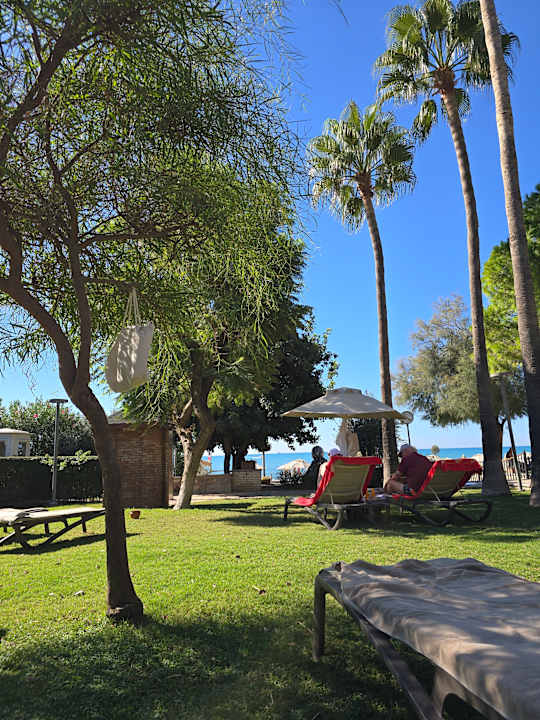 Gartenanlage Arum Barut Collection