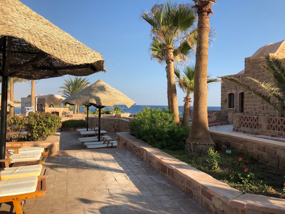 Ausblick Mövenpick Resort El Quseir