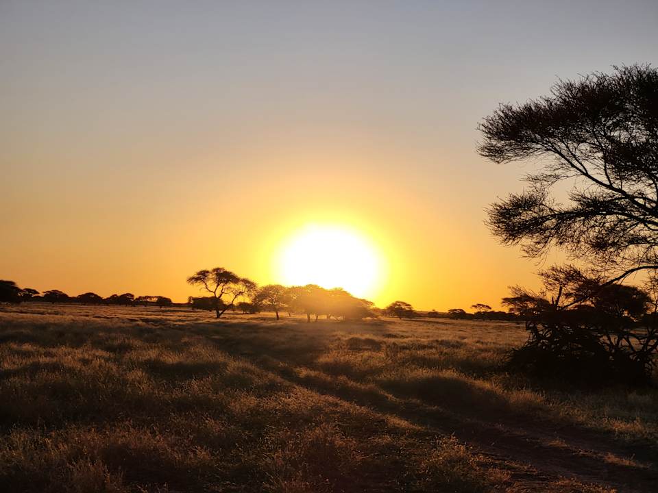 Ausblick Tau Pan Camp