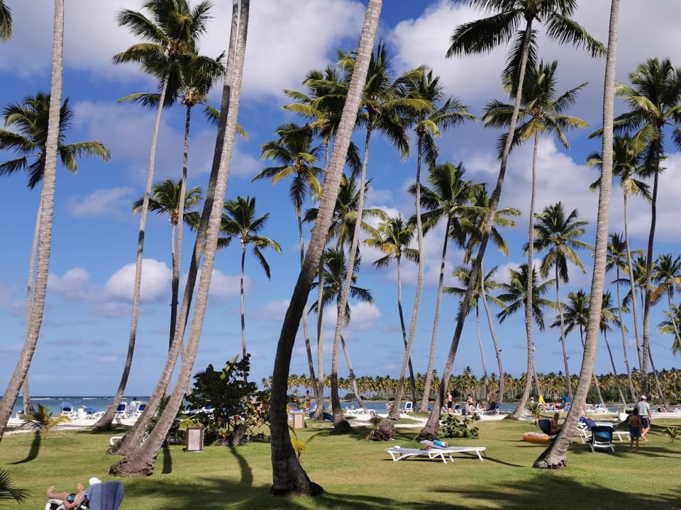 Strand Wyndham Alltra Samana