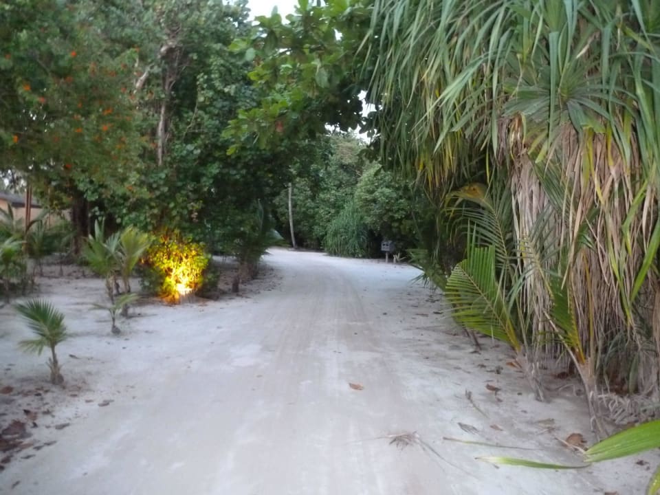 Wege der Anlage Kuredu Island Resort & Spa