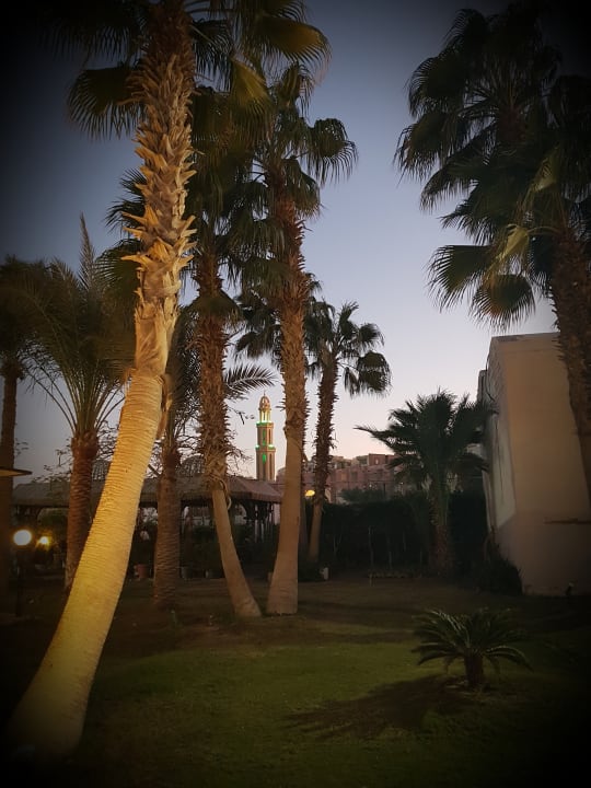 Gartenanlage Bel Air Azur Resort - Adults only