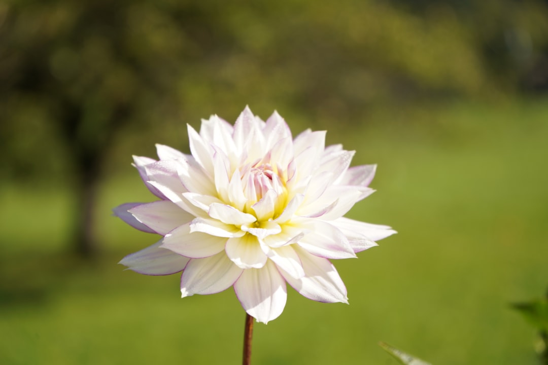 Gartenanlage Gästehaus Gutfelder Hof