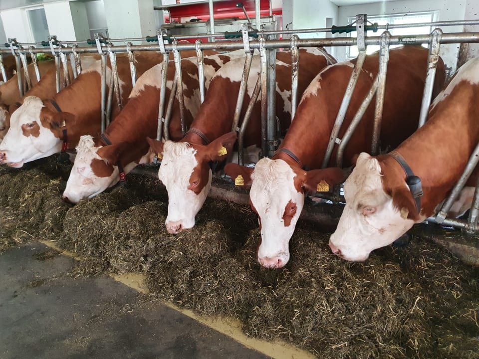 Sonstiges Hotel Alpenhof