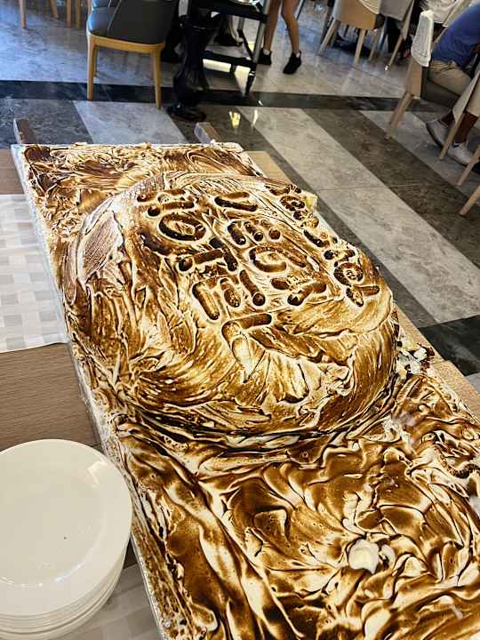 Gastro Seashell Vega