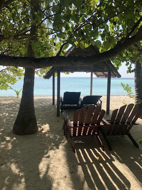 Strand Summer Island Maldives