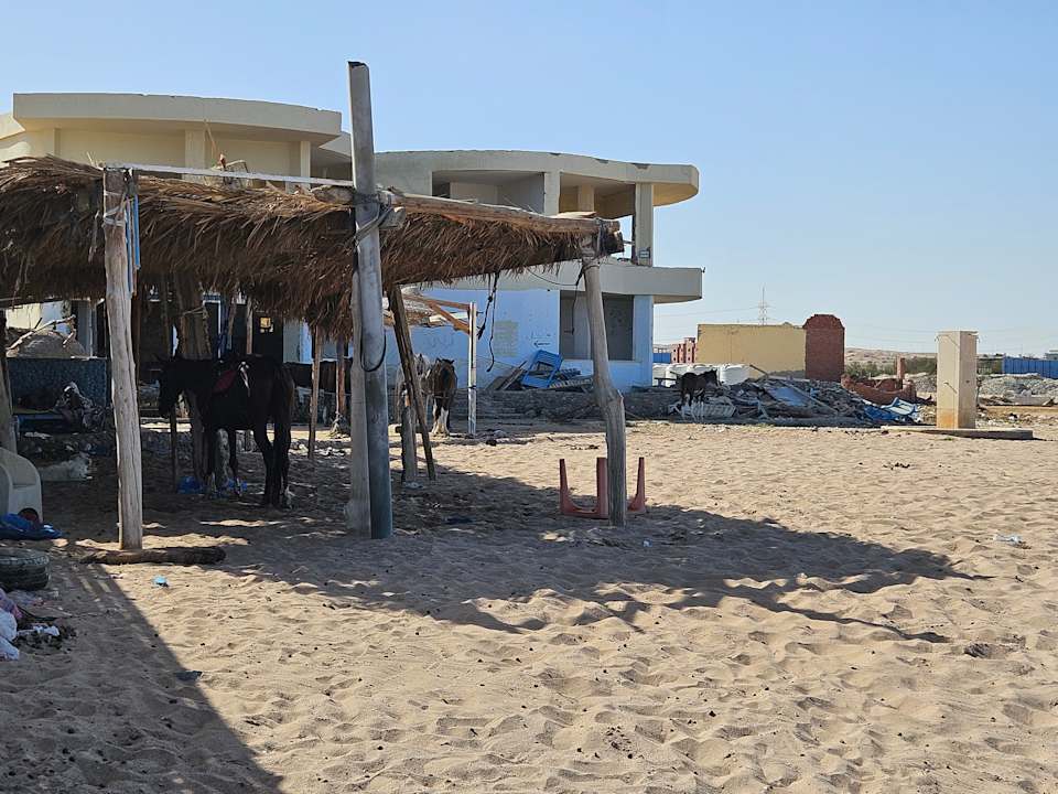 Strand Titanic Royal