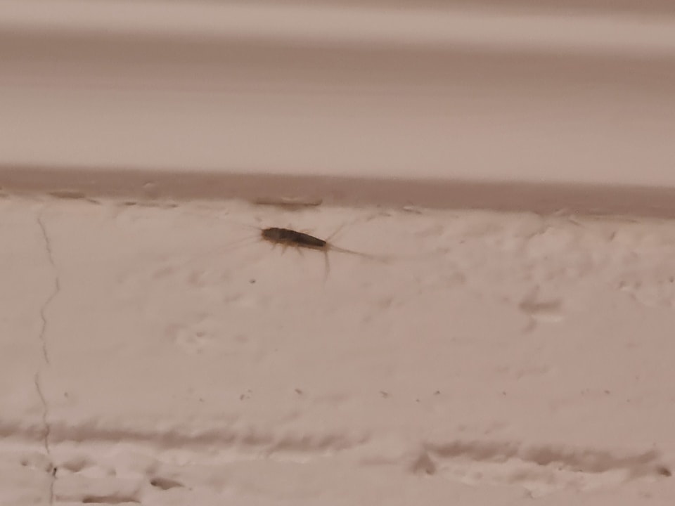 Zimmer Der schöne Asten - Resort Winterberg