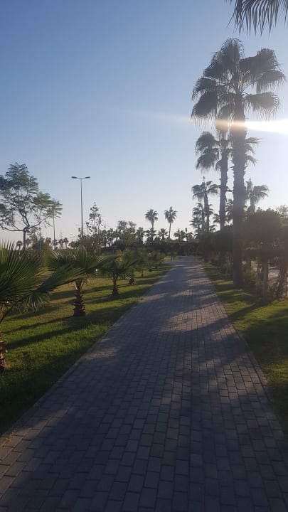 Sonstiges Royal Seginus