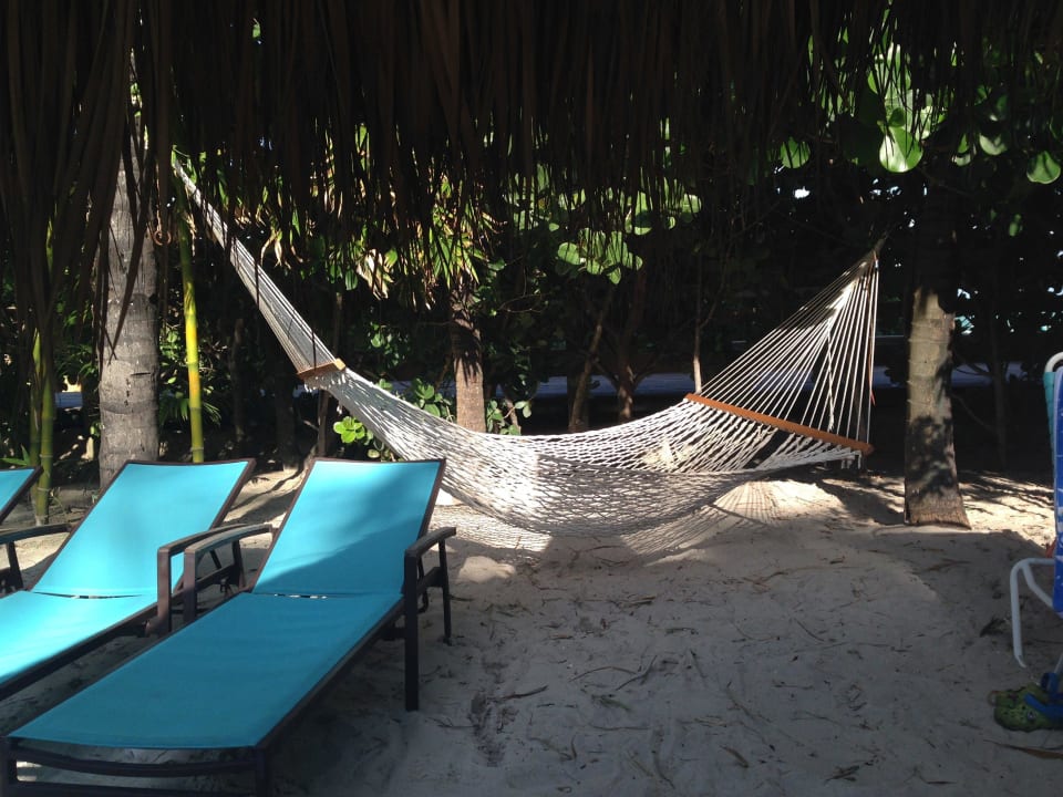 Beim Pool The Palms Hotel & Spa