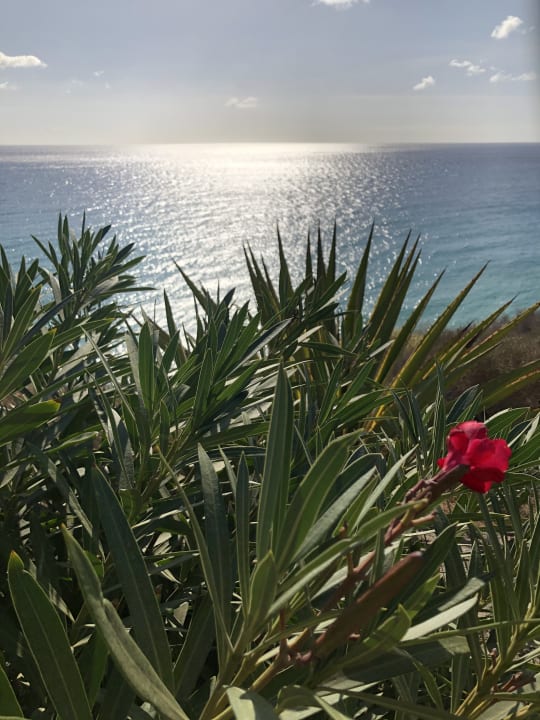 Gartenanlage TUI MAGIC LIFE Fuerteventura