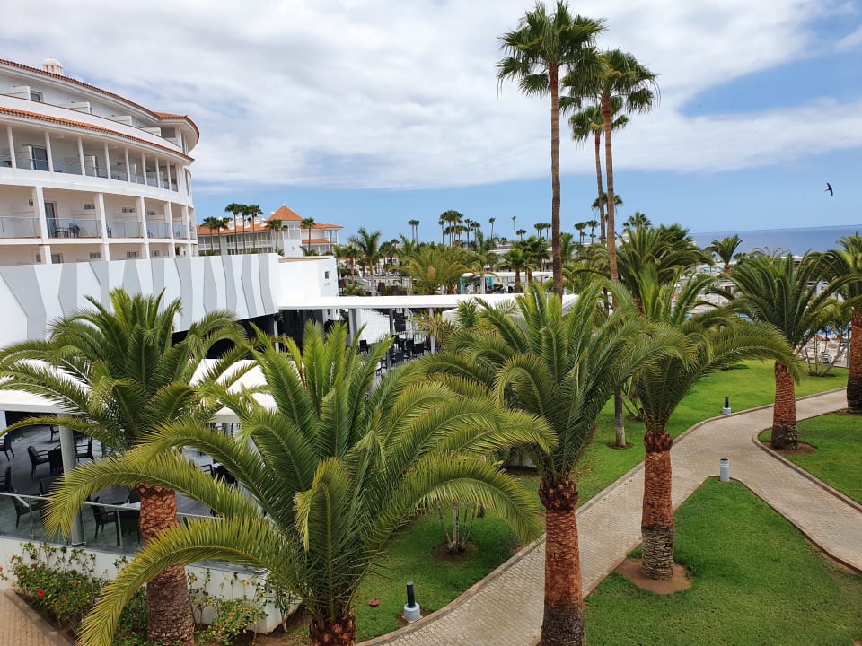 Ausblick Hotel Riu Arecas - Adults only
