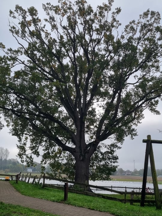 Ausblick Ferienhof Lehbekwiese