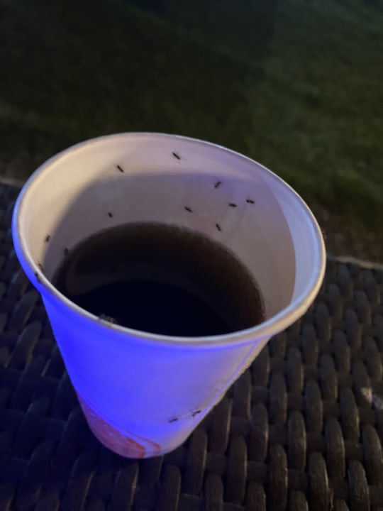 Gastro Glamour Resort & Spa