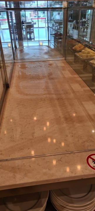 Gastro Acanthus Cennet Barut Collection