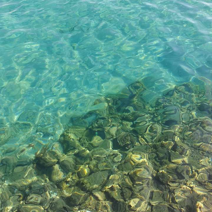 Strand Beach Albatros Resort