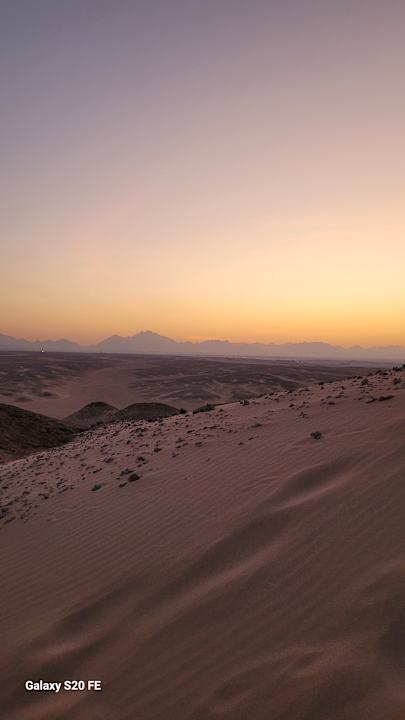 Sport & Freizeit Desert Rose