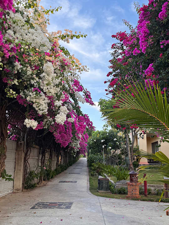 Gartenanlage Pandanus Resort