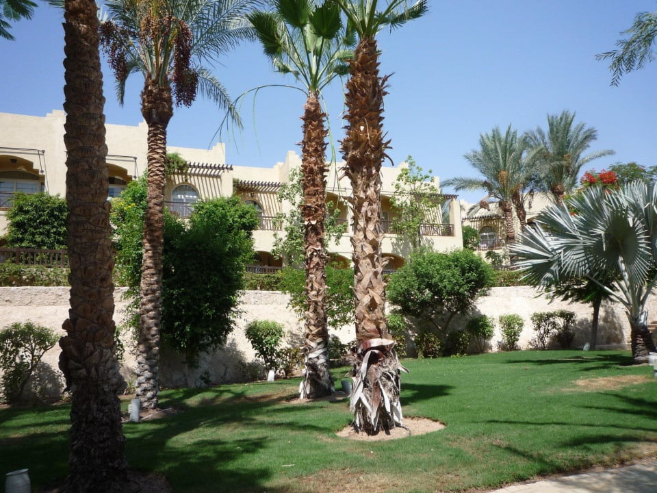 Gepflegt, grün, traumhaft The Grand Hotel Sharm El Sheikh