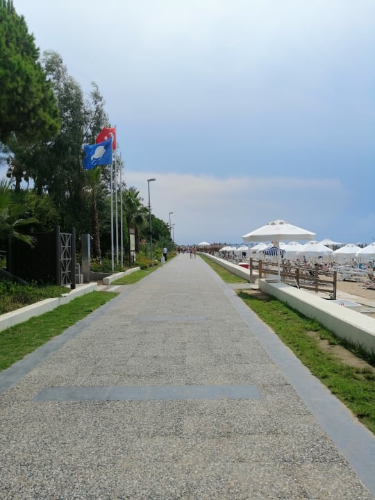 Strand PALOMA Perissia