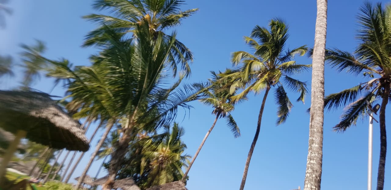 Strand Sentido Caribbean World Soma Bay