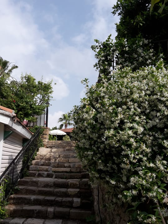Gartenanlage Leda Beach Hotel
