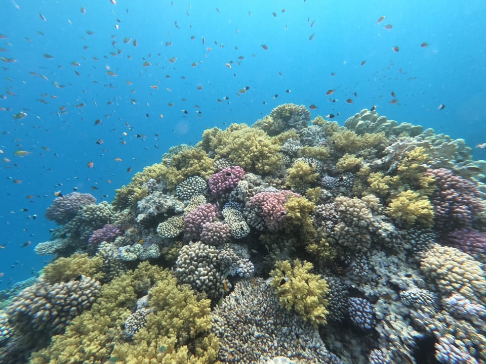 Sport & Freizeit Lahami Bay Beach Resort