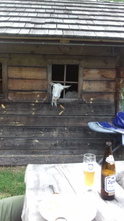 Sonstiges Familienbauernhof Grossgrub