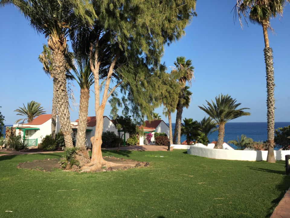 Viel Grün und Schatten Aldiana Club Fuerteventura