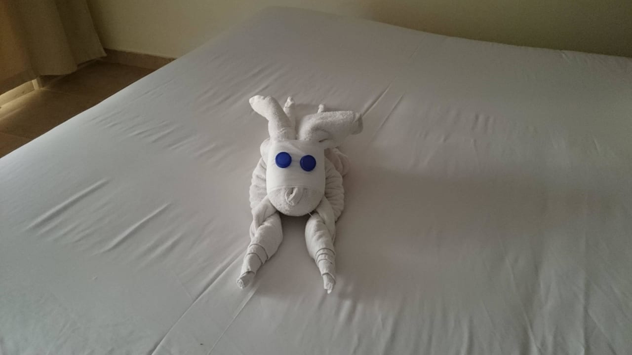 Unser Zimmerservice überraschte uns täglich Panorama Bungalows Resort El Gouna