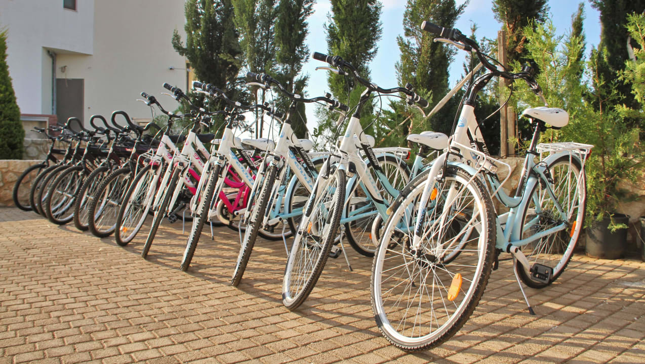 Bikes Camelot Royal Beds