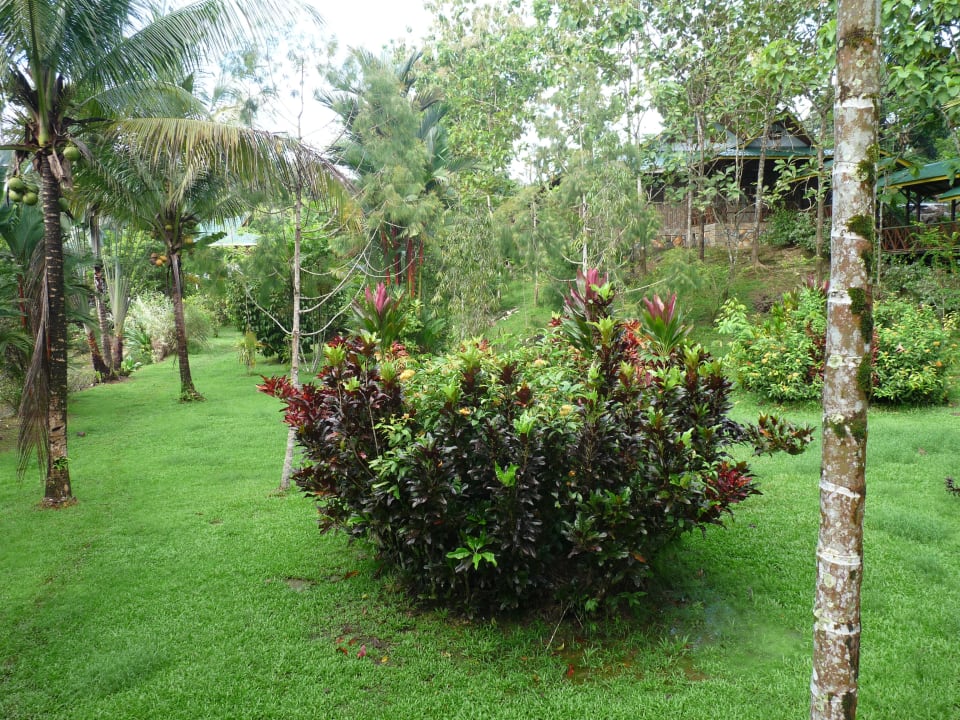 Gartenanlage Sepilok Jungle Resort