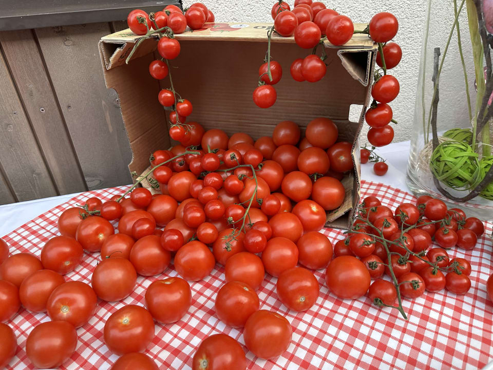 Gastro Aldiana Club Ampflwang